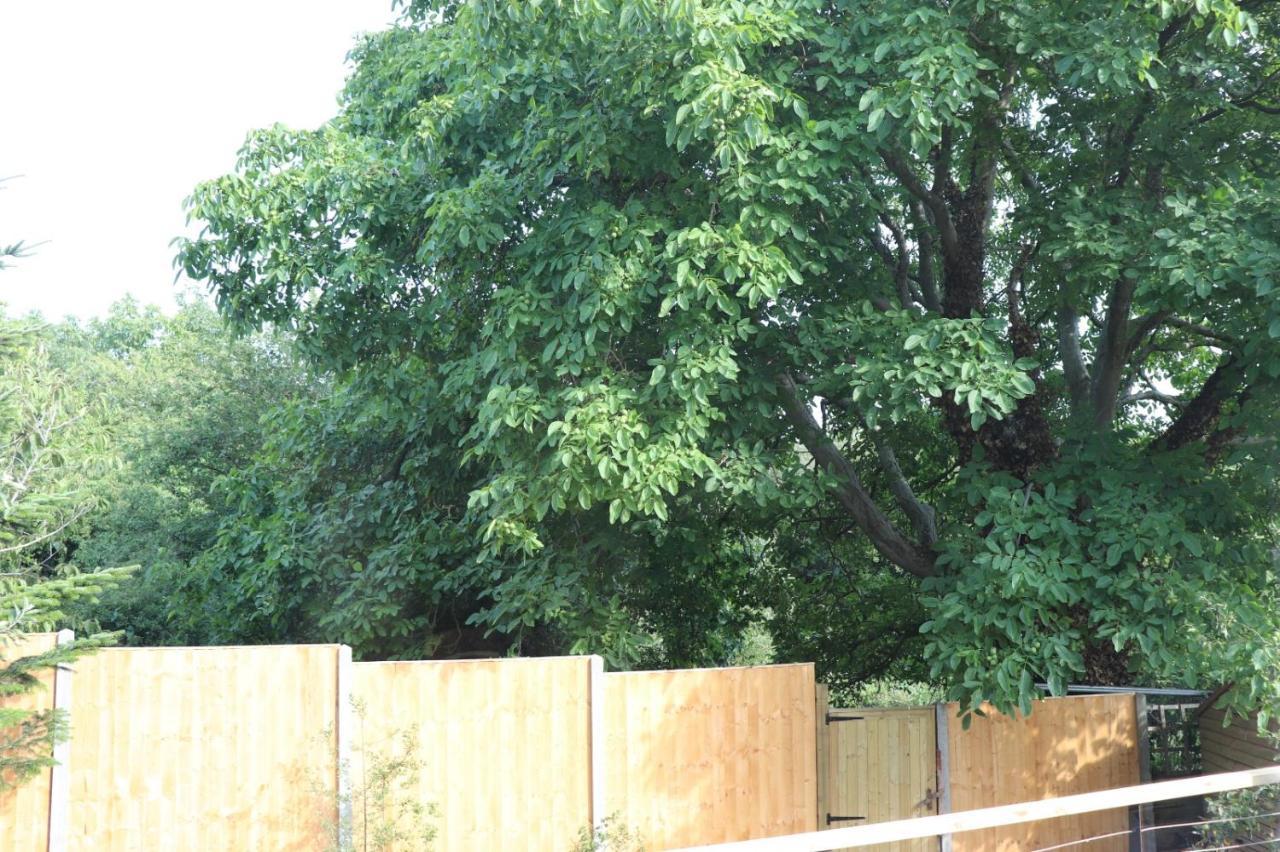Walnut Tree View Βίλα Οξφόρδη Εξωτερικό φωτογραφία